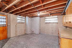 Basement featuring light colored carpet