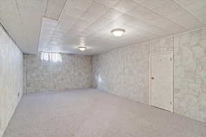 Basement with carpet