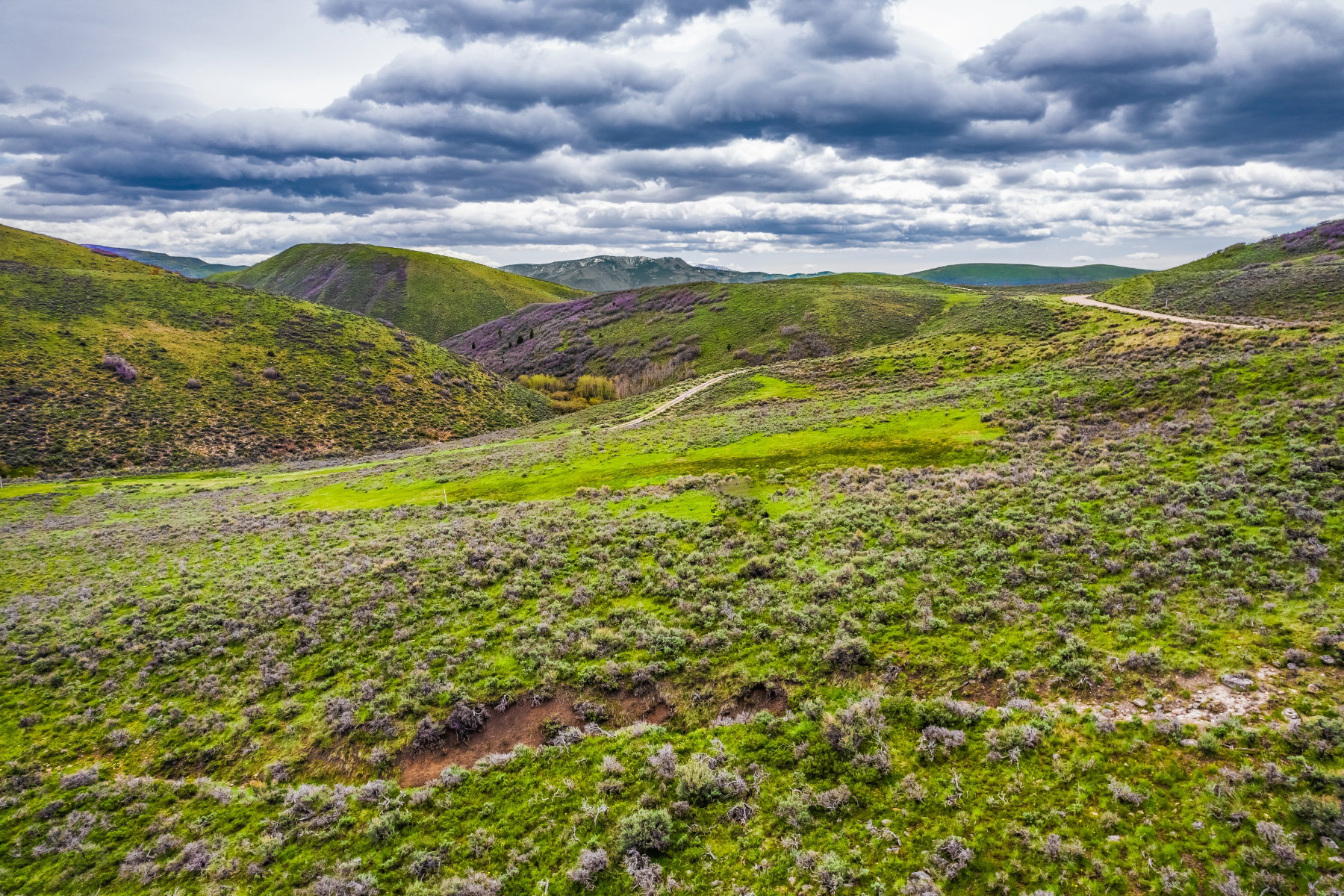 4323  GALTS GULCH Park City UT 84098
