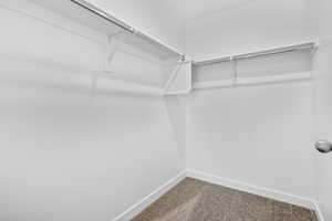 Walk in closet featuring carpet