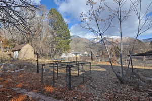 View of yard with a mountain view and a storage shed