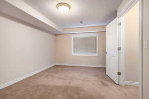 Unfurnished bedroom featuring light carpet