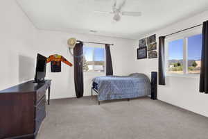 Carpeted bedroom featuring ceiling fan and multiple windows