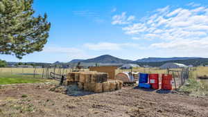 View of yard featuring a mountain view and a rural view