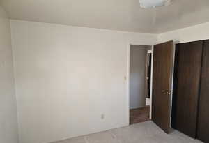 Unfurnished bedroom featuring a closet and light colored carpet