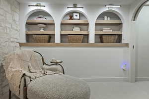 Sitting room featuring carpet floors and built in features