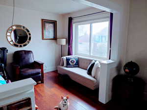 Living room featuring hardwood / wood-style flooring