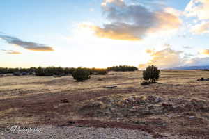 Nature at dusk with a rural view