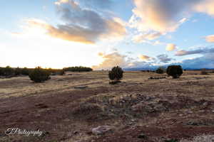 Nature at dusk featuring a rural view