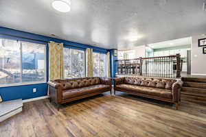 Living room featuring hardwood / wood-style floors, a textured ceiling, and a healthy amount of sunlight