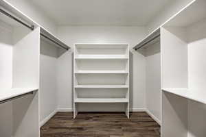 Spacious closet featuring dark wood-type flooring and a barn door