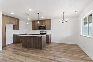 Kitchen featuring backsplash, pendant lighting, light hardwood / wood-style flooring, and stainless steel appliances