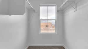 Spacious closet with carpet floors