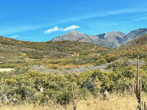 Property view of mountains