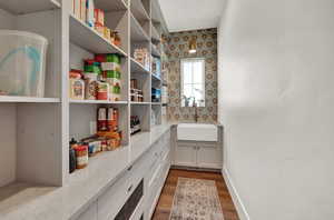 Pantry with sink