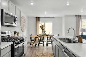 Kitchen featuring sink, light hardwood / wood-style floors, appliances with stainless steel finishes, and gray cabinets