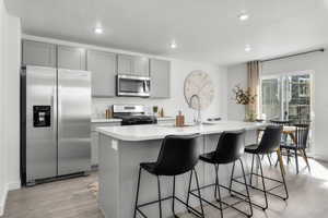 Kitchen with gray cabinets, a center island with sink, sink, and stainless steel appliances