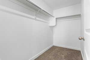 Spacious closet featuring carpet floors