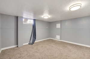 Basement featuring carpet floors and a textured ceiling