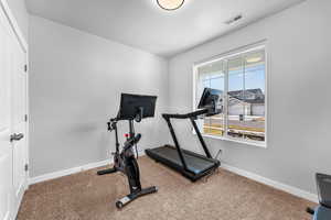 Exercise area with carpet floors