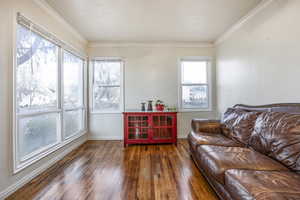 Living area with crown molding and dark hardwood / wood-style floors