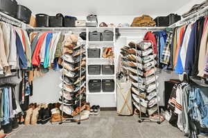 Walk in closet featuring carpet floors