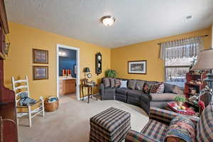 Carpeted living room with a textured ceiling