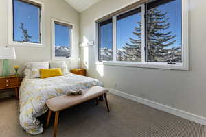 Carpeted bedroom with vaulted ceiling