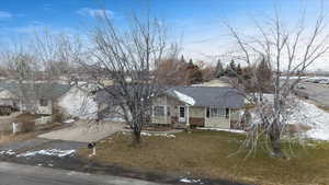 View of front of property featuring a yard and mature trees