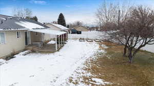 View of covered patio, fruit trees, large yard with garden boxes