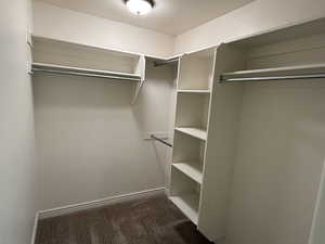 Walk in closet featuring carpet