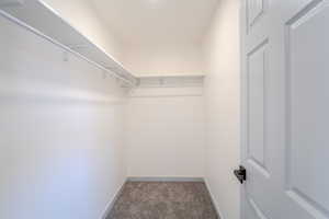 Walk in closet with carpet