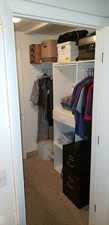 Walk in closet with carpet flooring