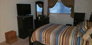 View of carpeted bedroom