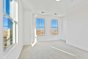 Spare room featuring a healthy amount of sunlight and light colored carpet