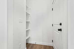 Spacious closet with dark wood-type flooring