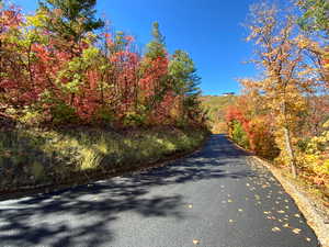 View of road