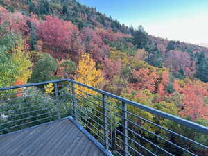 Balcony with a forest view