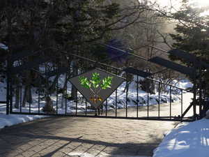 View of snow covered gate