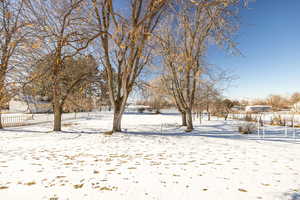 View of snowy yard