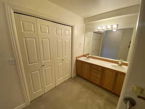 Primary bathroom featuring vanity and walk-in closet