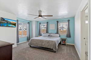 Carpeted bedroom featuring multiple windows and ceiling fan