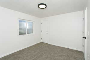 Carpeted spare room with a textured ceiling