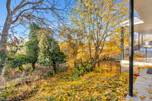 Mature trees provide lots of color and privacy