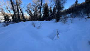 View of yard covered in snow