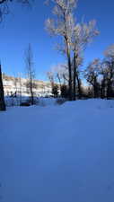 View of snowy yard