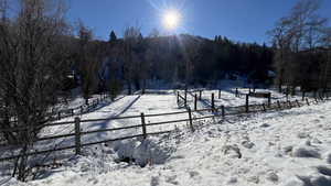 View of snowy yard