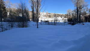 View of yard covered in snow