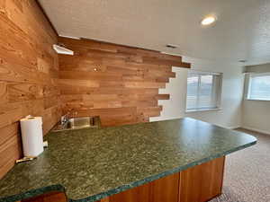 Kitchen with sink, wooden walls, a textured ceiling, and carpet