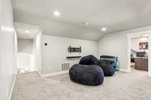 Sitting room with a textured ceiling, carpet, and lofted ceiling